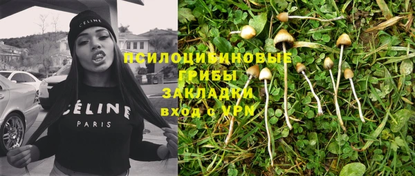 PSILOCYBIN Алзамай