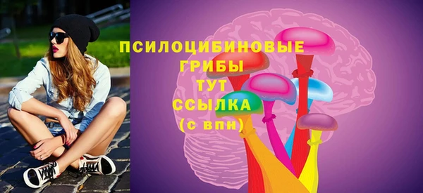PSILOCYBIN Алзамай