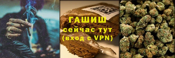 PSILOCYBIN Алзамай