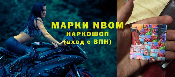PSILOCYBIN Алзамай