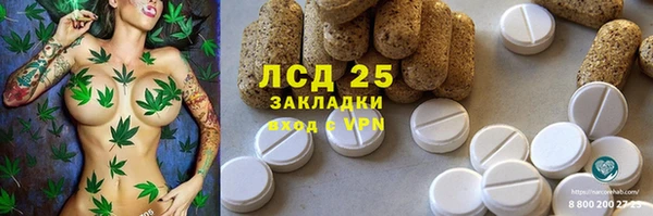 шишки Алексеевка