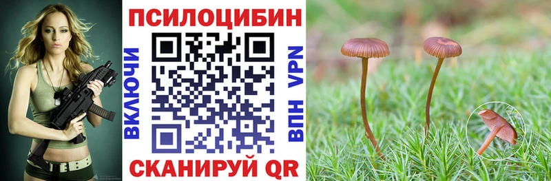 Галлюциногенные грибы мицелий  Мичуринск 